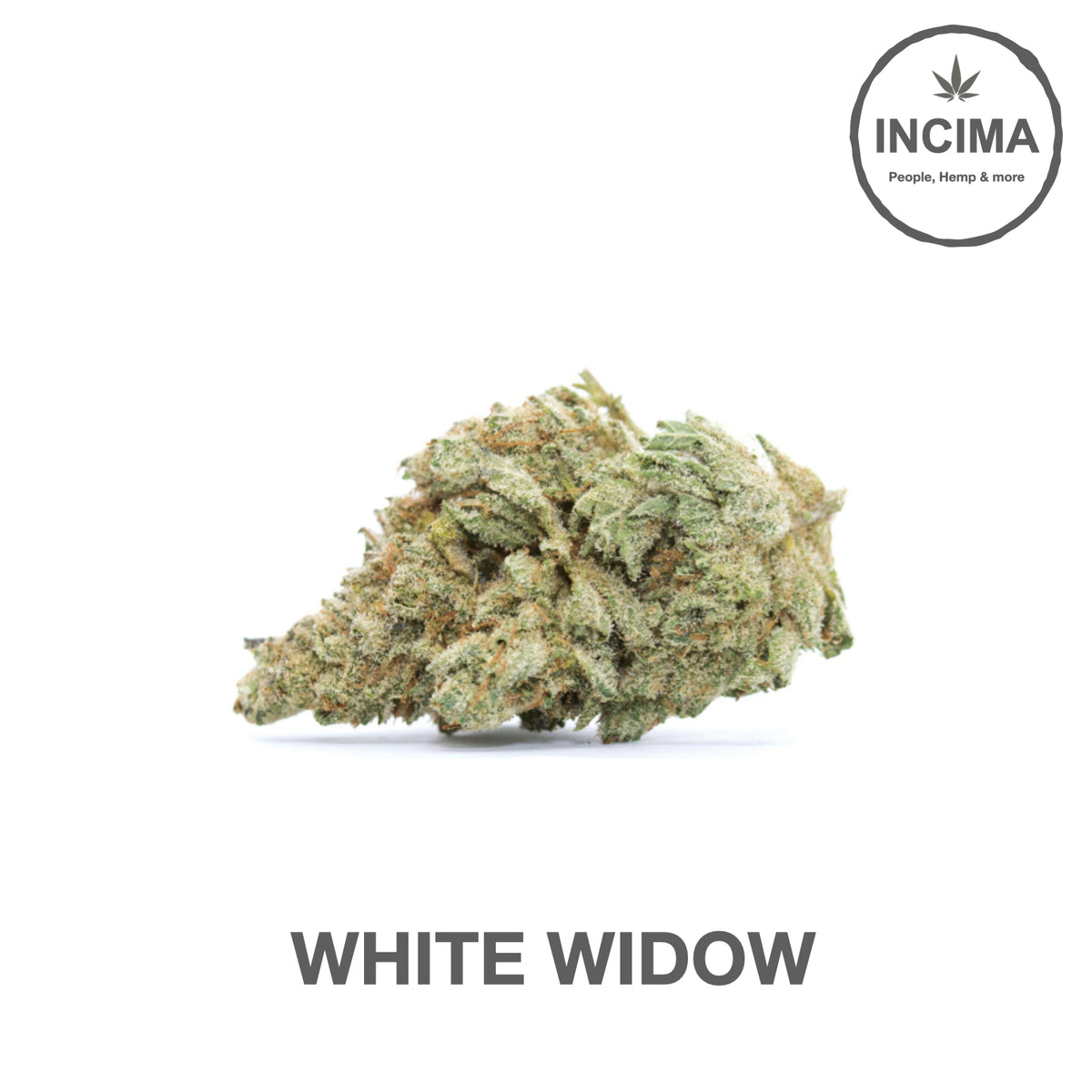 White Widow- CBD – INCIMA Italia